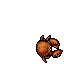Crab