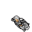 Moth Cape