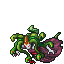 Medusae